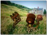 Devon Landscape