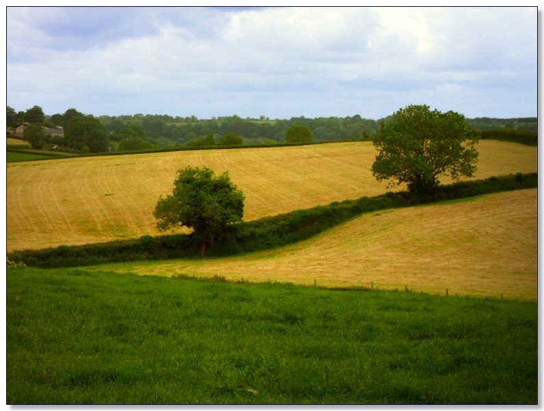 Near Taunton