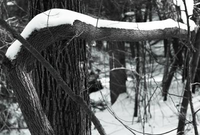 snowwalk