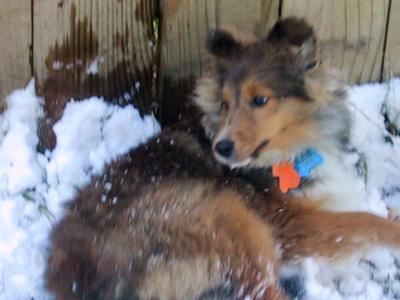 Snow Day!