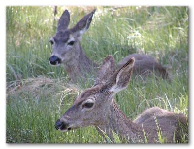 image034.jpg