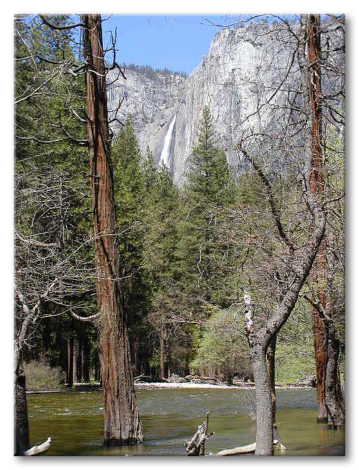 The view from my camp chair at North Pines campground...it dosn't get any better than this