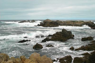 IMG_1915R1WEB.jpg