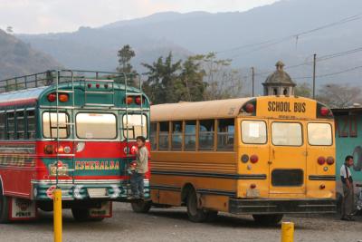 local buses