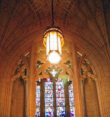 Inside Parliament6