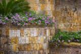 Flowers & Stone Walls