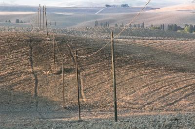 Farmland near Montechiello