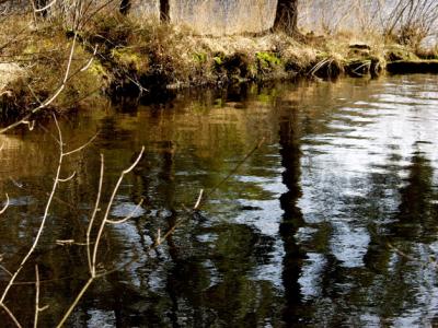 Limousin's pond