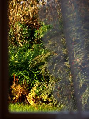 Summer impression
