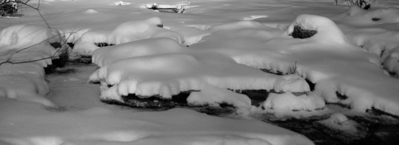 Frozen Creek.jpg
