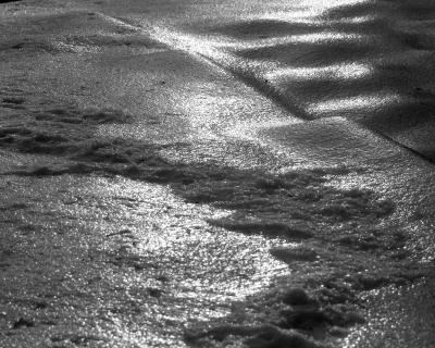 DSC_3542_BW_8x10_3_withlevels.jpg