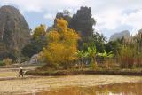 Golden - Ninh Binh