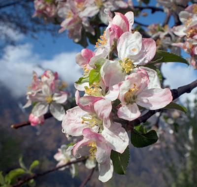 CRW_0464.jpg
