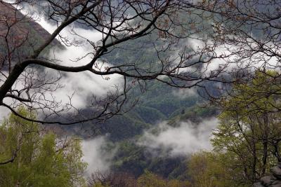 CRW_0266.jpg