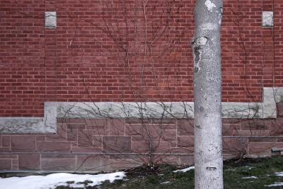 CRW_1705-01.jpg