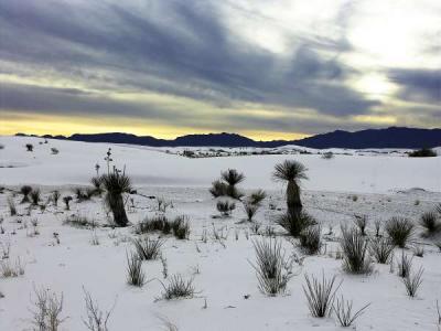 White Sands #3, NM