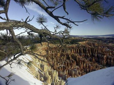 Bryce Canyon #3