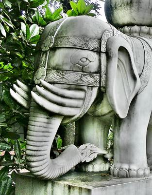 Mossy Elephant, Chengdu