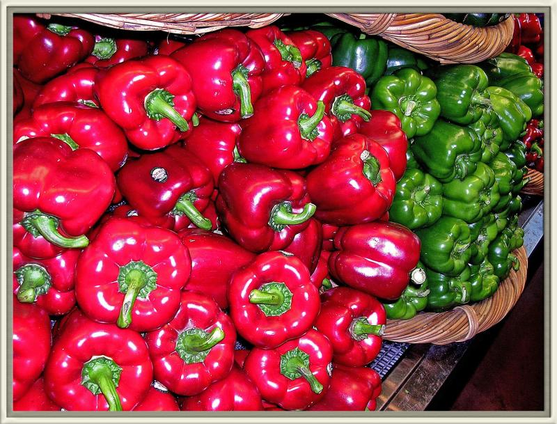 2-17-04 Red and Green Bell Pepper