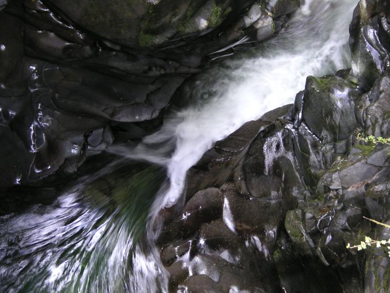 Fiordland Falls