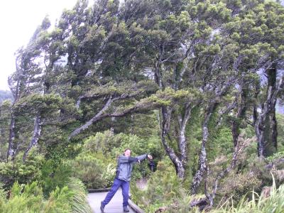 Unusual tree forms & unusual man