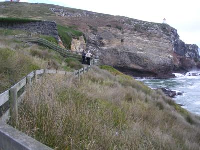 Taiaroa Head