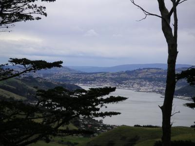 View towards Dunedin...