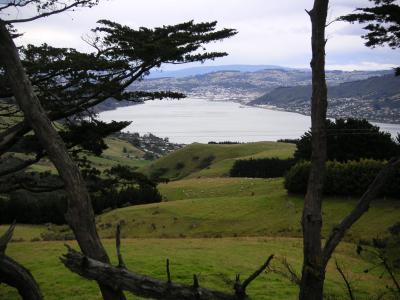 ..from Otago Peninsula