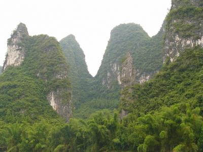 Green covered hills