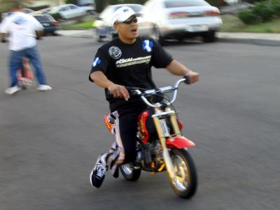 alfred-xr50-2.jpg