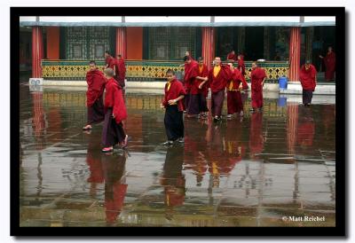 Monk Reflections in the Puddles, Rumtek Gompa, Sikkim