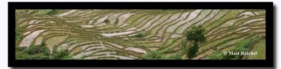 Rice Terraces Panoramic, Git Dubling
