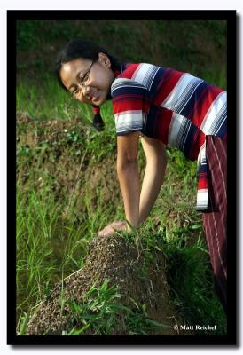 Between the Rice Paddies, Pakang