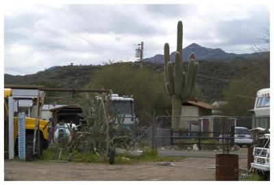Phoenix 071.JPG