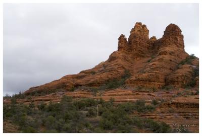Phoenix 096.JPG