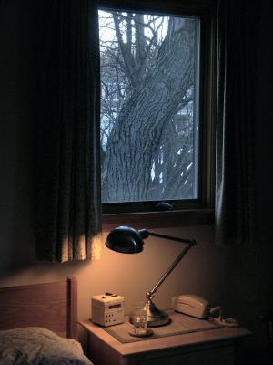 u40/mtf_foto_studies/medium/26081682.treewithlampresized.jpg