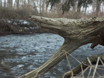 Washed by Time* By: Don Lynch