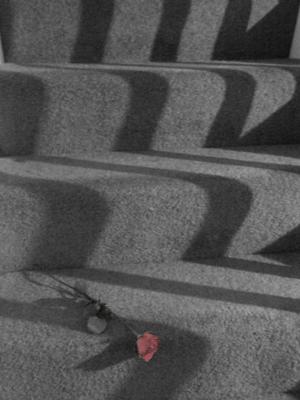 u40/mtf_foto_studies/medium/26172022.Discarded1resized.jpg