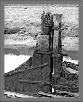 u40/mtf_foto_studies/medium/40207925.PICT2057pb.jpg