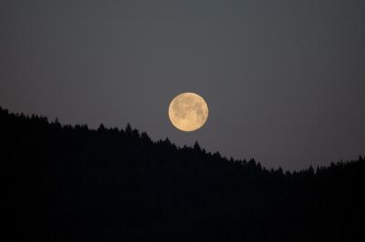 u40/mudbay/medium/40174864.MoonRidge1.jpg