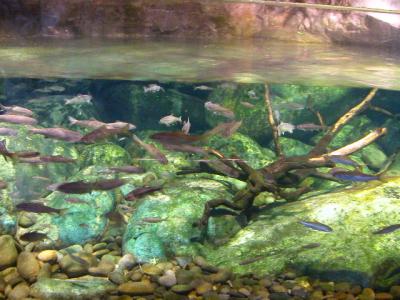 National Museum of Marine Biology & Aquarium