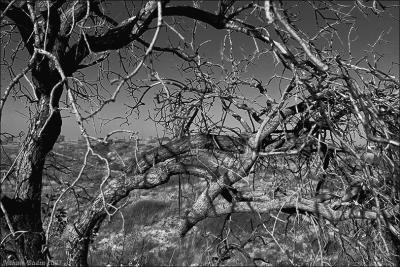 Discontinuity