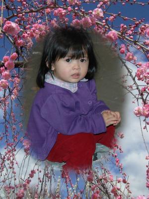 u40/nguyenlang/medium/39361283.DSC_0177a.jpg