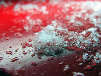 Snow Macro 1.jpg