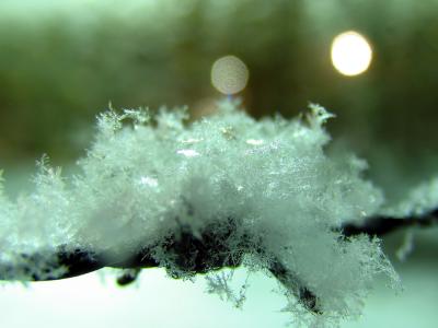 Snow Macro 2.jpg