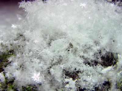 Snow Macro 4.jpg