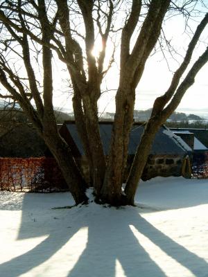 Leith Hall Gardens