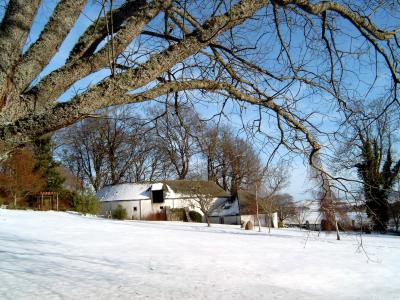 Leith Hall Gardens