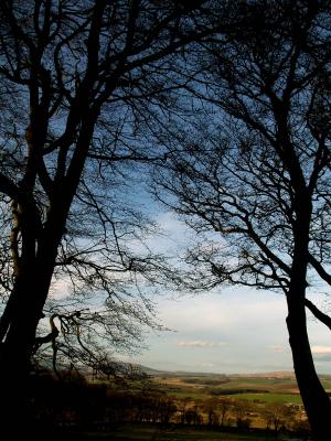 3rd February 2005  feels like spring!