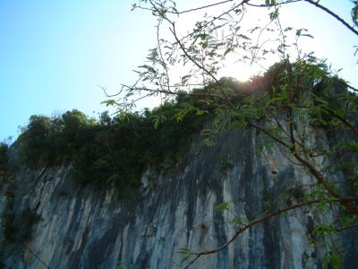 Backyard Cliff